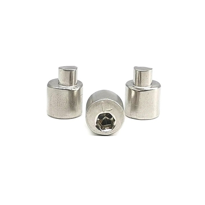 Hintere Axle Eccentric Adjusting Stainless Steel-Schraube 4.9X10.5 polierte SUS304