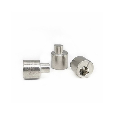 Hintere Axle Eccentric Adjusting Stainless Steel-Schraube 4.9X10.5 polierte SUS304