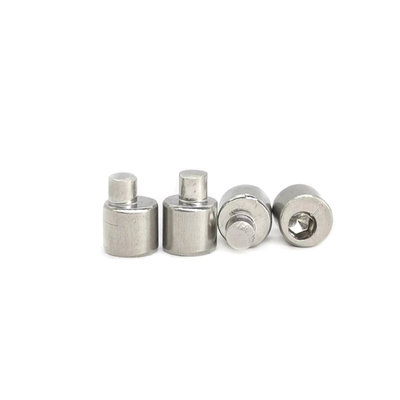 Hintere Axle Eccentric Adjusting Stainless Steel-Schraube 4.9X10.5 polierte SUS304