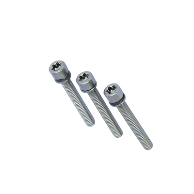 Torx Stifte geben sich Vorsprungs-Torx Mitte Pin Head des Beweis-Sicherheits-Maschinen-Schrauben-Knopf-6 ab