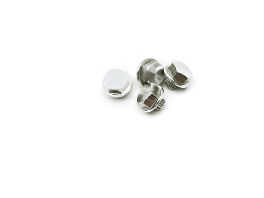 Niete des Edelstahl-HEX12.5x12.3 316, JIS-Standard-dekorative Schrauben-Niete