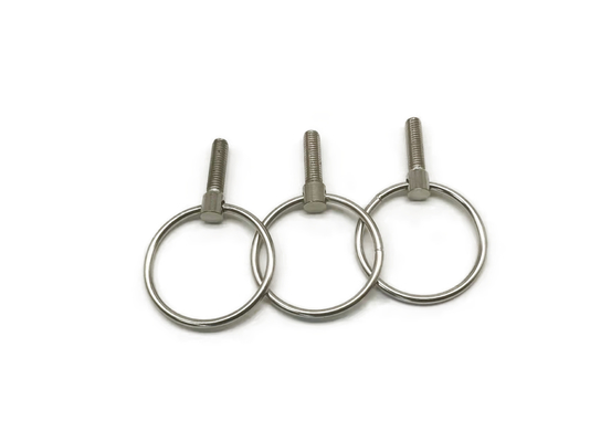 C1008 nicht Standardbefestiger, kleine Augenschrauben des Edelstahls M6x16