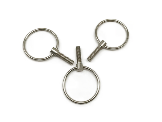 C1008 nicht Standardbefestiger, kleine Augenschrauben des Edelstahls M6x16