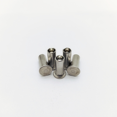 316 Edelstahl Marine Rivets M5-M12 Flachkopf 40% Hohl